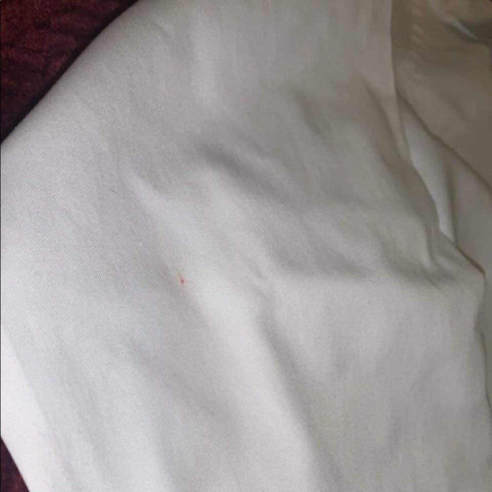Button Down Shirt - Picture 5 of 5